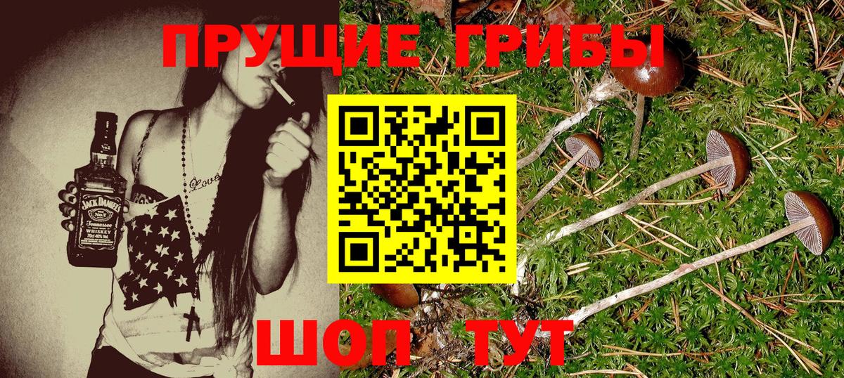 Луховицы  Псилоцибиновые грибы MAGIC MUSHROOMS  Псилоцибиновые грибы прущие грибы  продажа наркотиков  Вход с VPN 