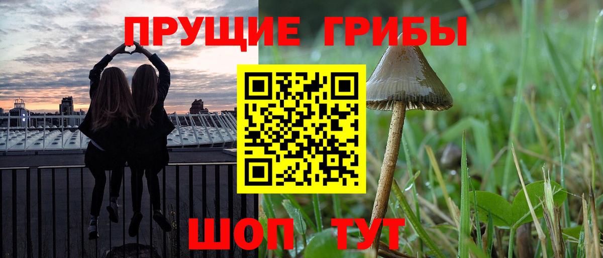 Галлюциногенные грибы MAGIC MUSHROOMS Луховицы